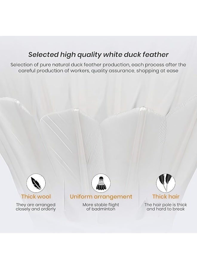 12-Pack Badminton Shuttlecocks, White, Premium Goose Feathers, Cork Ball Head, Durable Competition Grade, Stable Flight，Speed 77 - Image 2